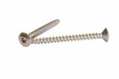 VVS-SKRUV TORX 5,5X40 (100)